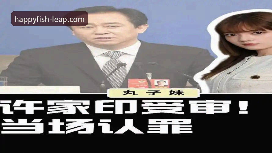 从“金元王朝”到庭审现场：3个维度解析许家印案与体育商业的警示